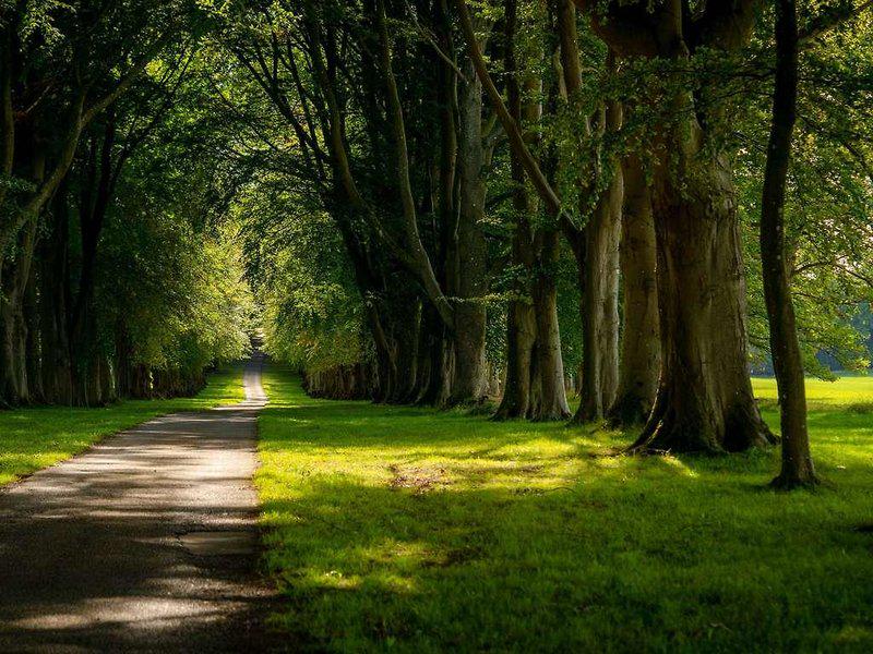 668BDB3A2BB608C4BE71F32A96AE1143