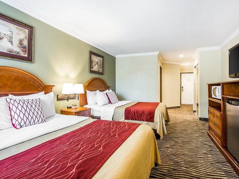 D7819646CF6A803A5CCF101F447F2ADC