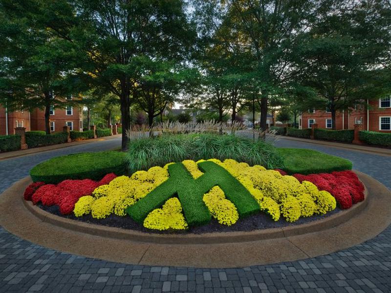 732DD8675BB86FFA780D6606DCC0267B