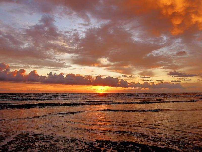 2A627CF56EA49BC95283386DAADB10DE