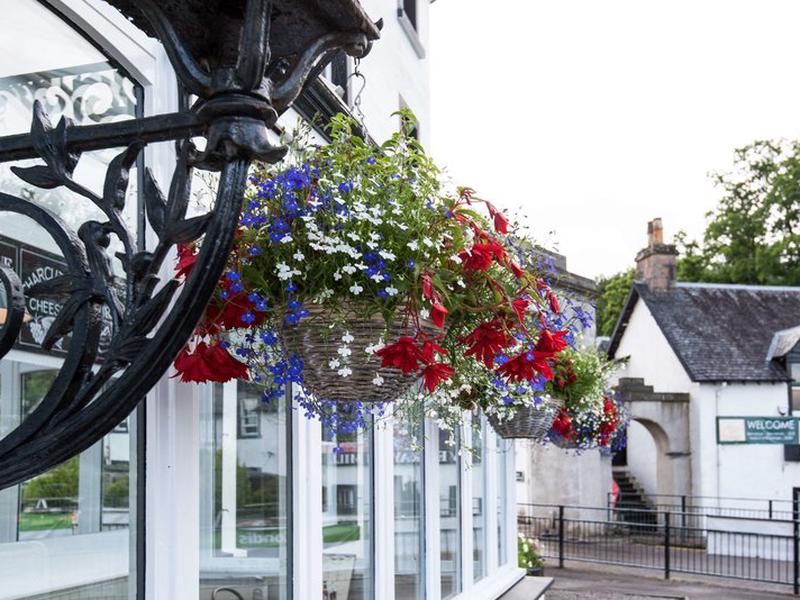 9AC68D81E39E6E1B0A61BB62F79DDA12