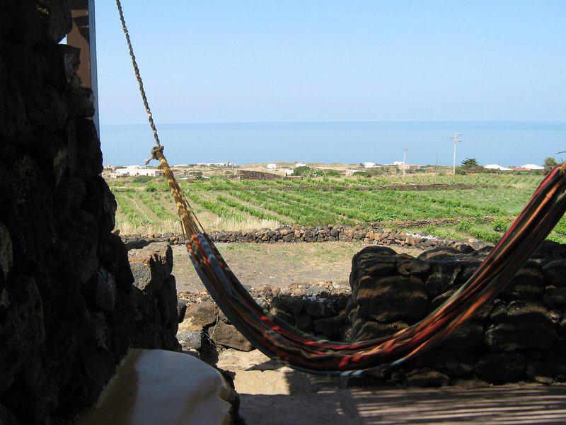 90ACC05367D7105179832C0FF215F3DD