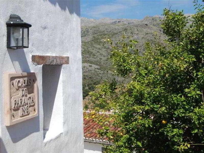 E9B2E797E49EA17829C1498504236571