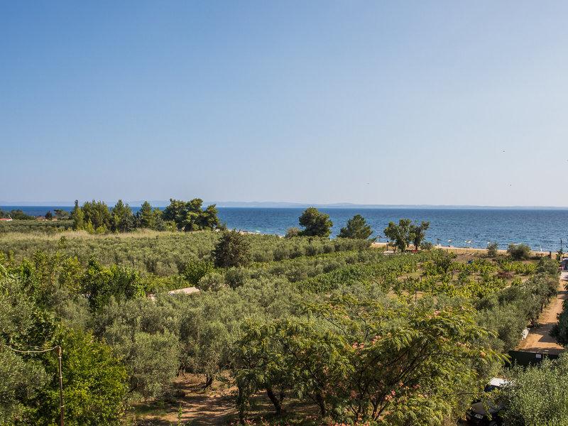 746169099C4150AC0B6C5D8A470D2CBC