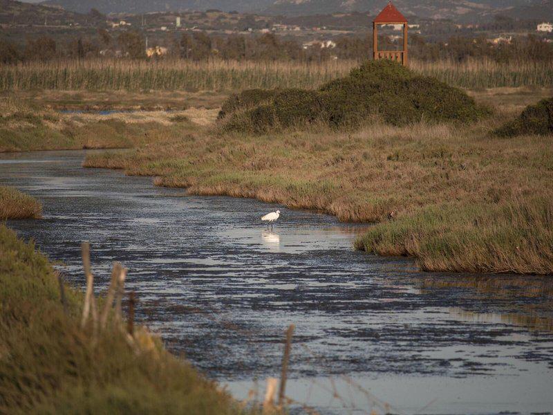 9665CECE0A62A0D8D1AFF060BAB824BB