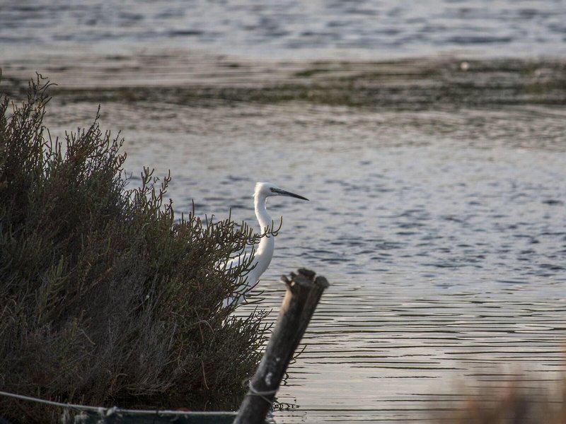 A57FA28396CB8AB1FB13E53FFBE2972E