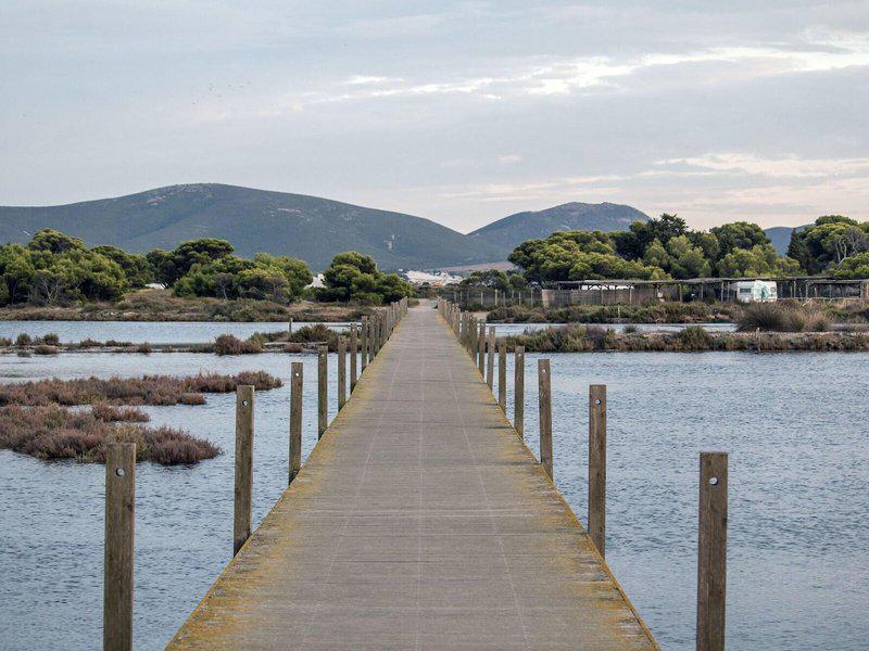 66F5E85825E0C4615C112C6356668E40