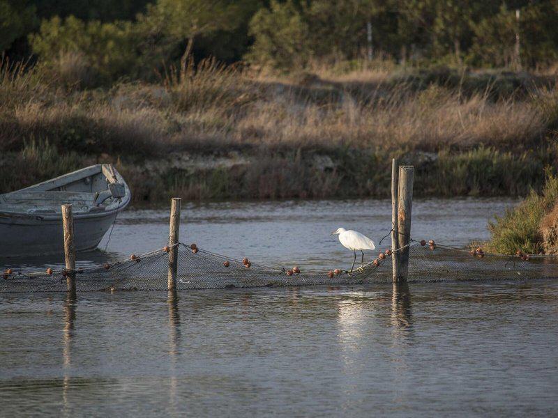 D238E959774A5E4E205779EE490E5AB9