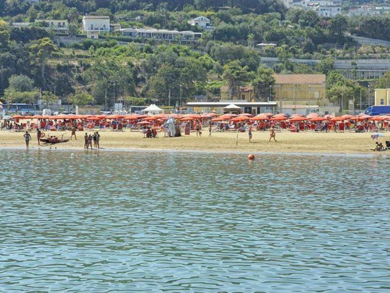 8E8239C5FFA6628BF9799DA09948E409