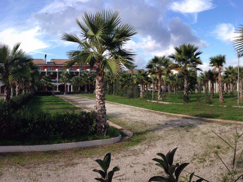 155423C49FFBC34E96D4DB6731CF0EF8