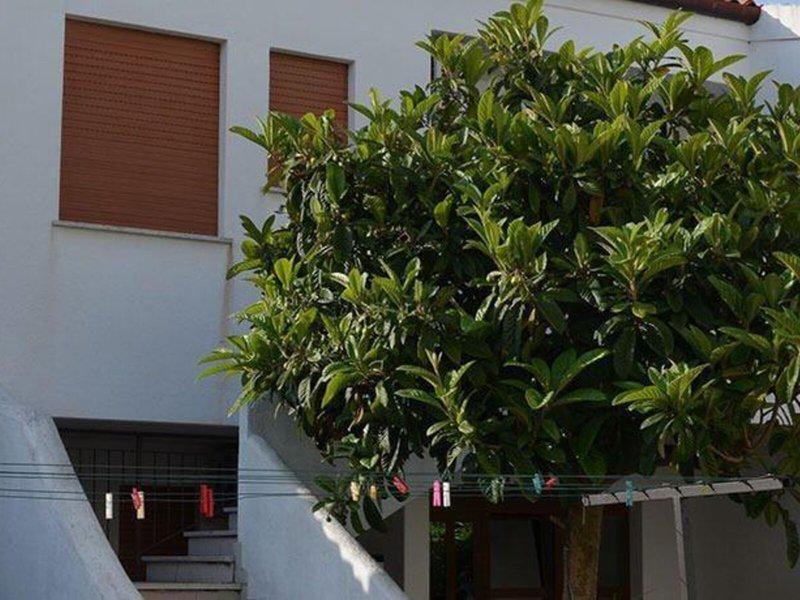 6AB9AFE9A826B8B10CFD9AD3BD635D80