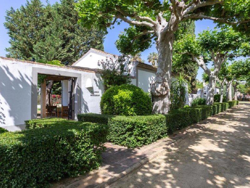 025072267617D261CDA525AA219EC19C