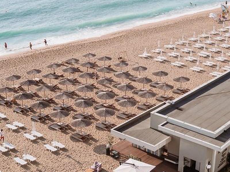 638A64E619DF6E73935E8AF3B1AD61B9