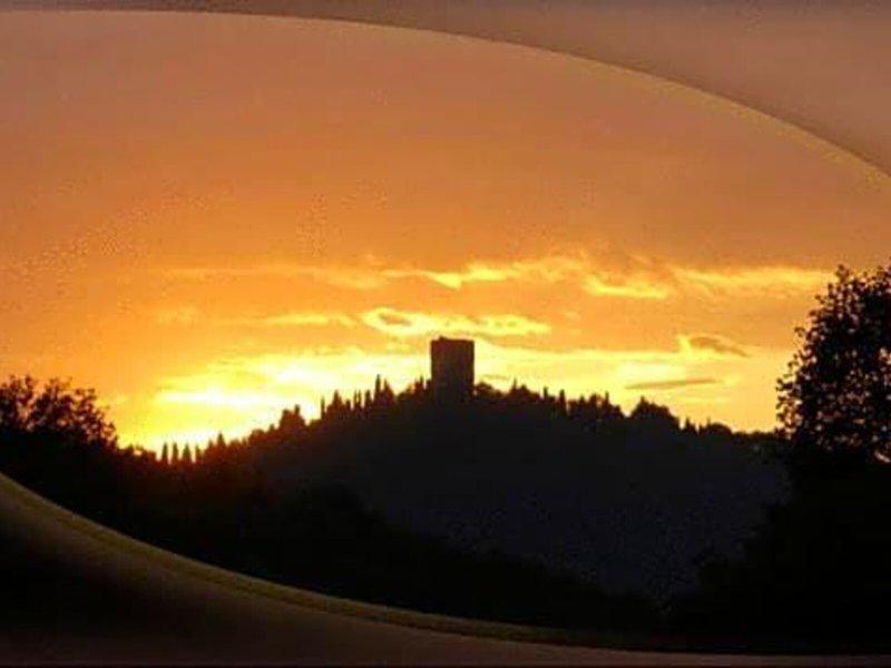 88B95AD514E68E80373905C2168A3259