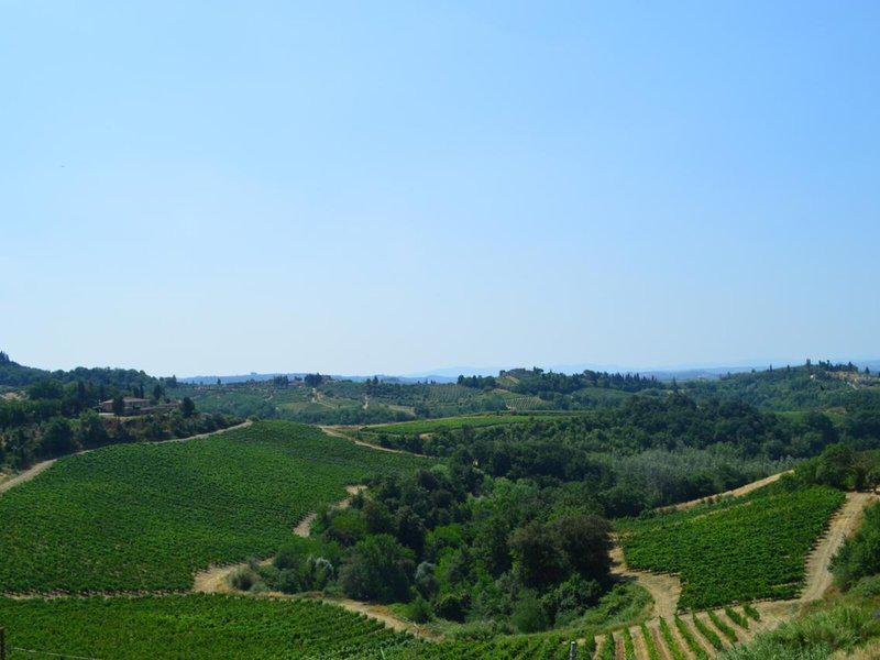 Fattoria il Bacio