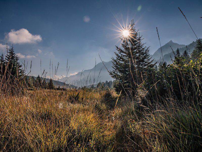 3CE8AE2BEF059672C0DDE8B6C5F1640D