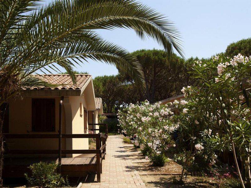 09788E40A433F12D214C8C605741CB36