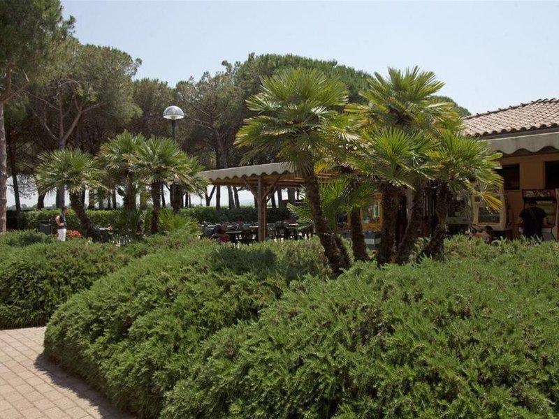 BAA53CC141E857D7DB2C2E67D6904C26