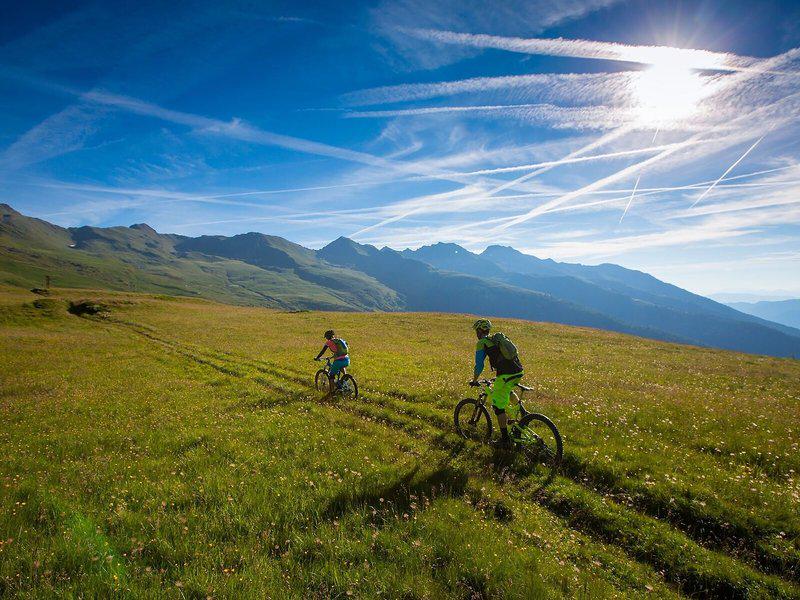 6ECF73B0EFD6A55A3585822C4D68F20C