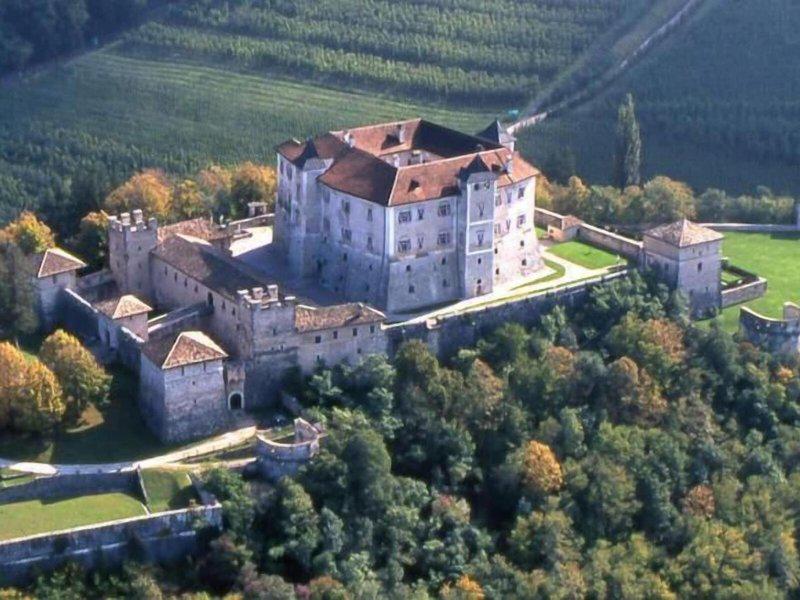 10E99E39FEED011582C179B4CA4D115E