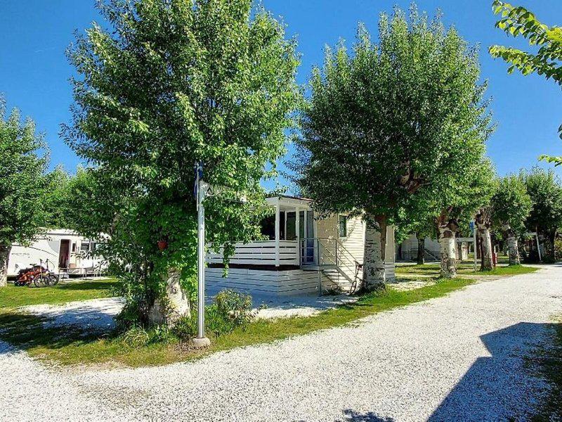 889F8B118B769B85BB6D96775AEAE5E3