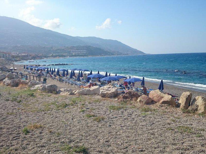 C3D49CC3ED6546904CC1E29372D29E99