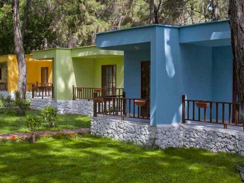 D53F2ECC3E35F15FDA63D56F5CB620ED