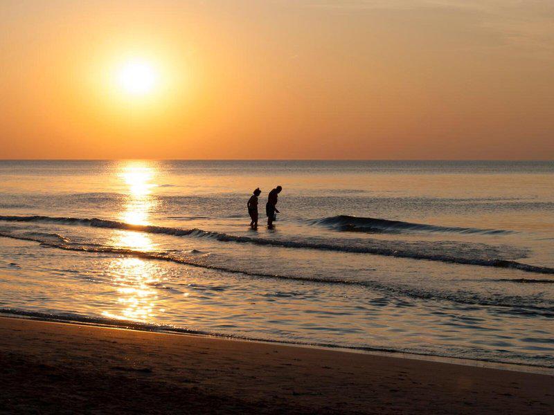 0C06F4F8FBD5355269B960BBB443703F