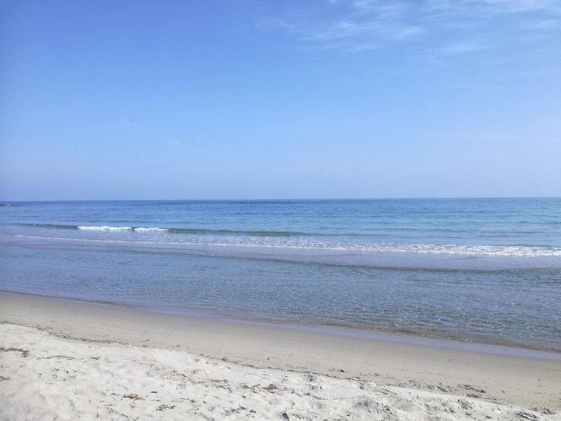 731B16DDE1BB98AE701AC0F36F8F2E89