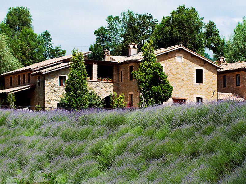 3A3C6A876B54028591D87D58420E7FE5