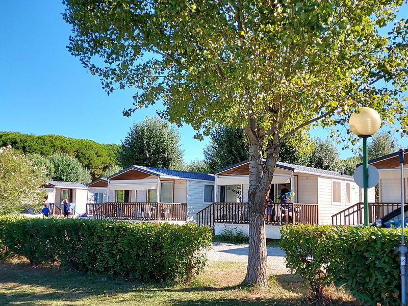 DFC8CBABF88F8C45200500D25A082569