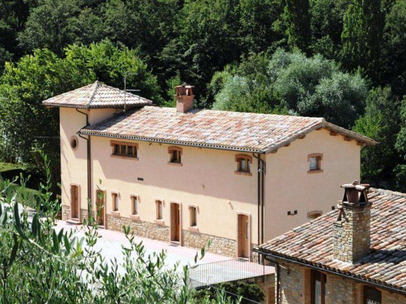 54B45B44FF640A135ED35A487A332607