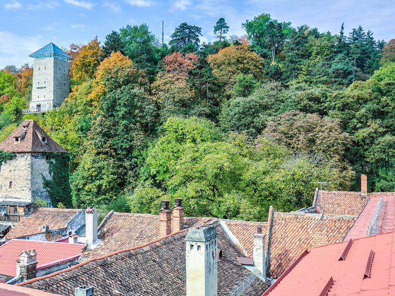 ACFA85E1B4A3799640E7D51FEDE9D429