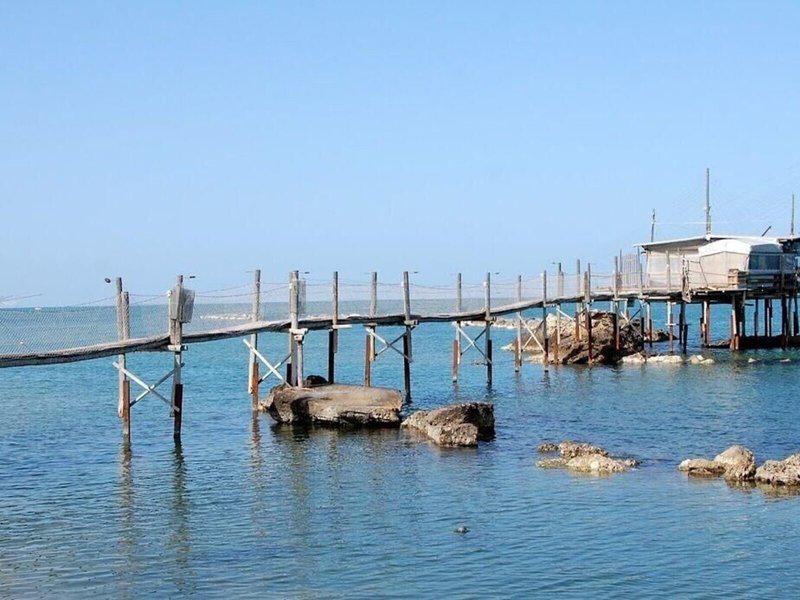 695FDA222EA849FC45382984A4DD79A5