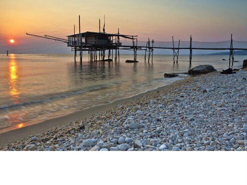 FA382CD5F8B276CBD4C195F5CEB3244C