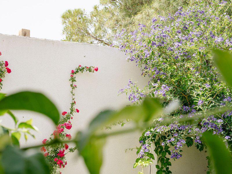 03D574C59048059A3B8B73F40E67B171