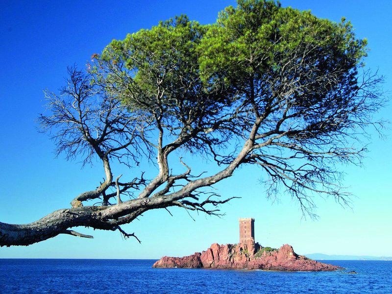 F6C30E1B5C7FD7447DAA216F99139556