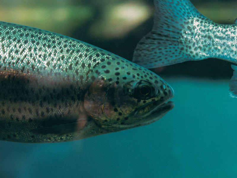 F2E59E16DBE3D64054B5FDEFADE59A78