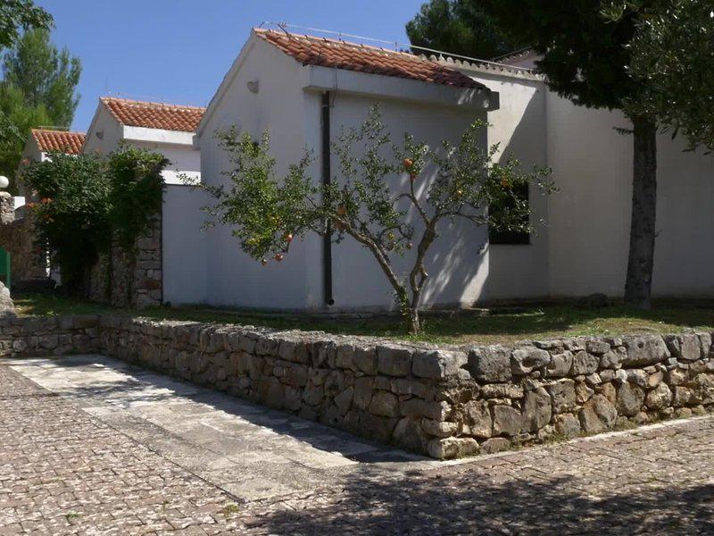 4E5A80B9687BF838894B7314D9B94880