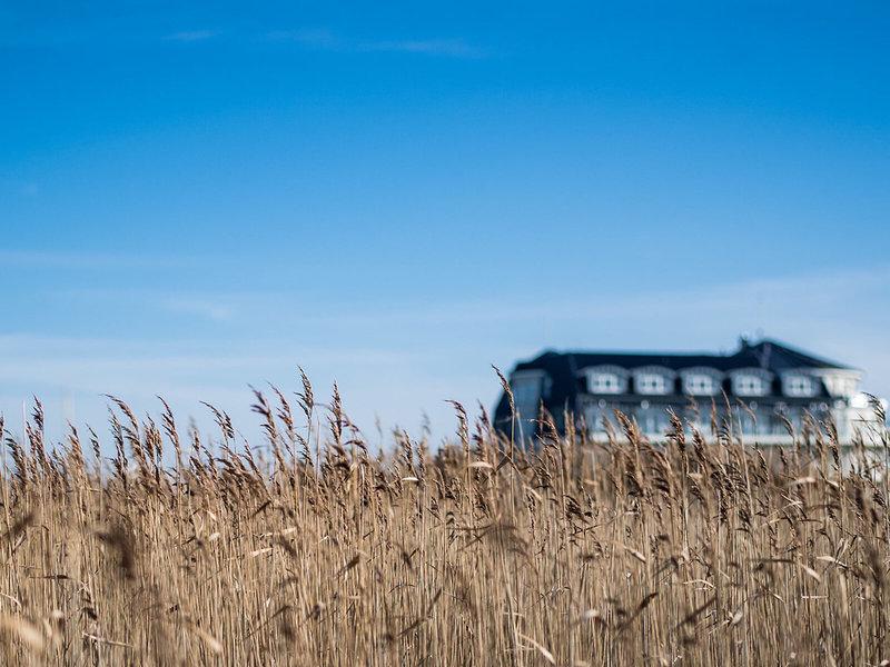 D19E24AA6A55900337999BACB98317F3