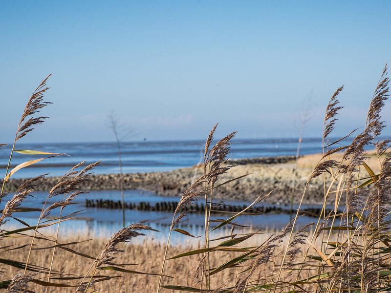 D870019F265A1705CC7224043EB0DD93