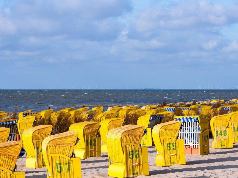 0A880806997113F6A41C5990F7385DE4