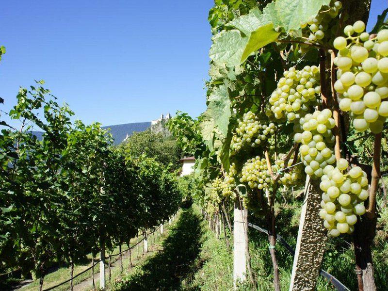 5BF70217AB1EA98EC3B9A669829FB5FC