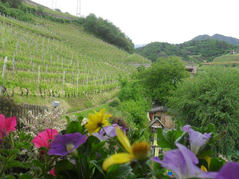 0537A6E099A058839407DDCD8BE18F82