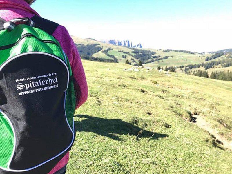 BD8B3B34BE4B2F074D077C2607507A51