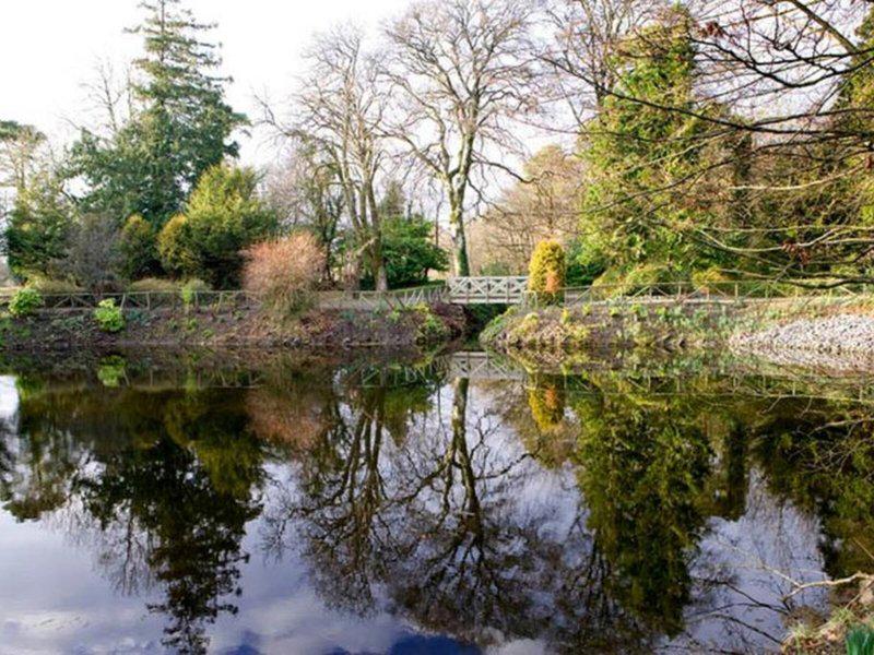 A513555D90F944660AA7786A623C625A