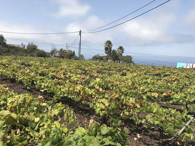 5DC28264AE9383869B48A251DA0AE35F