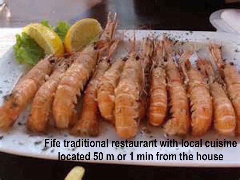 25F1E879569F845D06E5EBDFEF8AEAEC