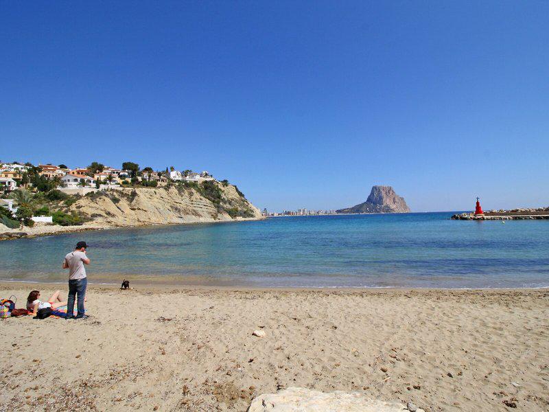 9EE80C38B8AC5E76E7E180208F776941