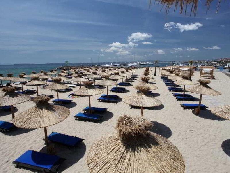 D781A9B661101D0562EF6D59744AD4B2